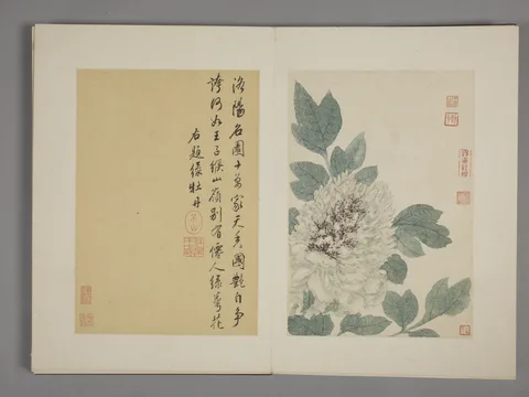 Wang Wu, Untitled