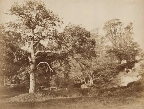 Robert Burrows, Landscape Study