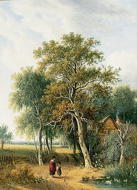 Samuel David Colkett, Landscape