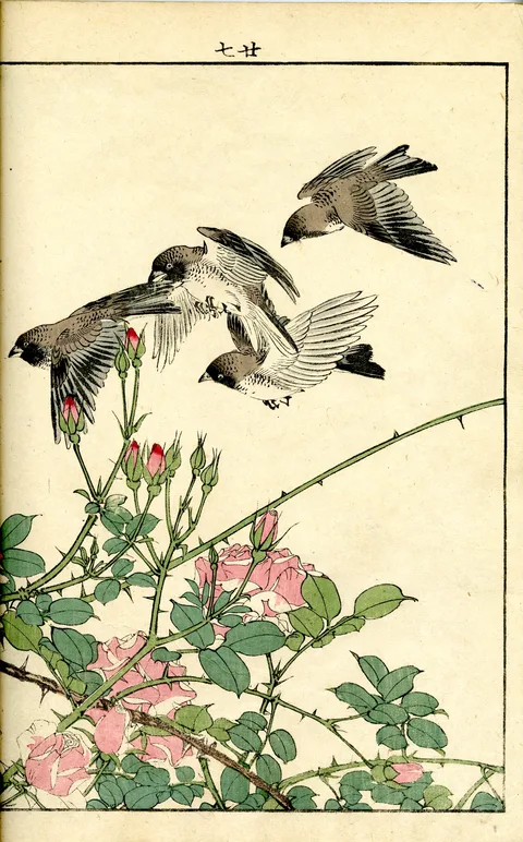 Imao Keinen, Keinen Kacho Gafu (Picture Album of Flowers and Birds by Keinan)