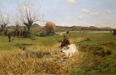 Eugenio Cecconi, The lasso