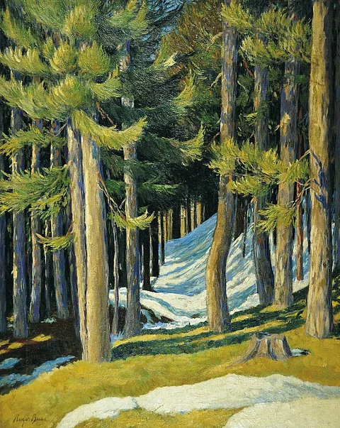 Hugo Baar, Last snow / Forest in winter