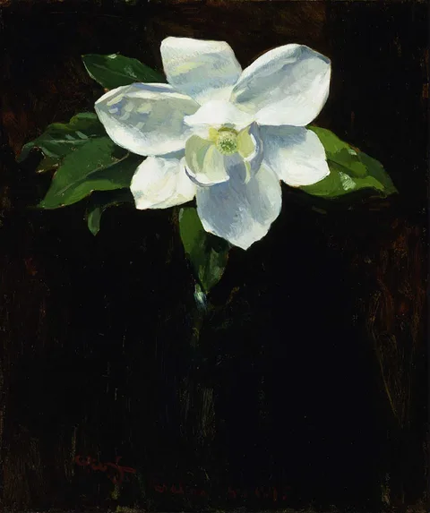 Charles Walter Stetson, Magnolia