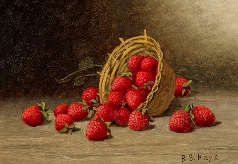Barton S. Hays, Strawberries