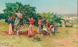 Angiolo Tommasi, Harvest in Tuscany