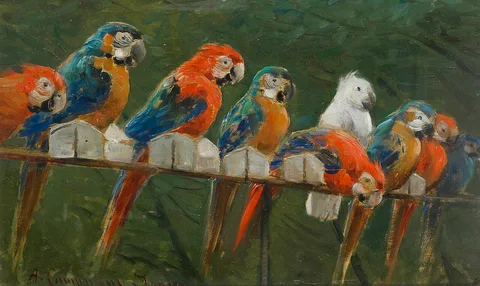 Alceste Campriani, Untitled