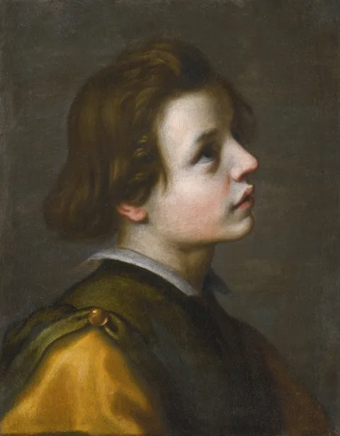 Francesco Curradi, Head of a Youth