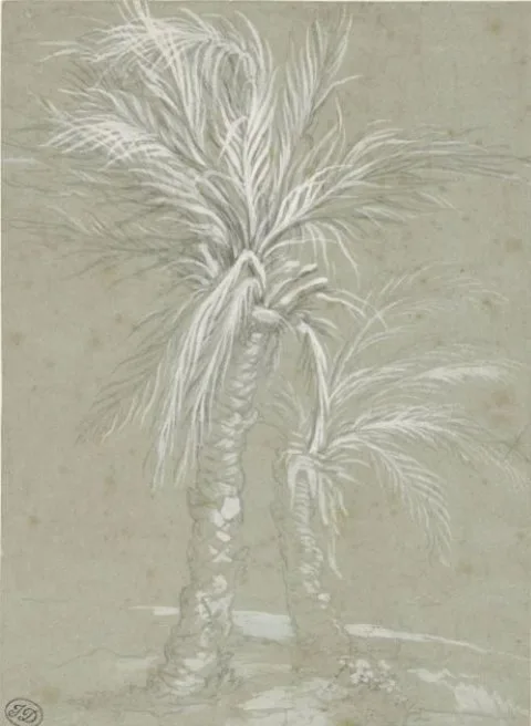 Mattia Preti, Two Palm Trees