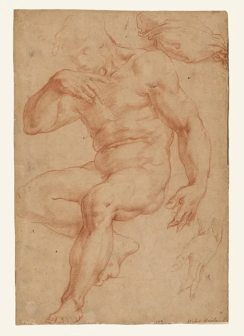 Giorgio Vasari, Studies of a Male Nude, a Drapery, and a Hand