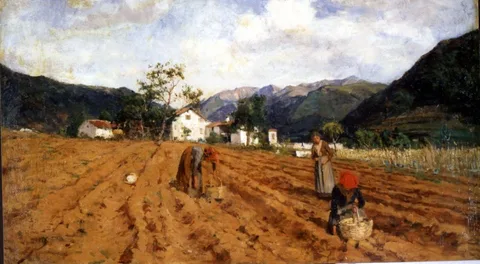 Luigi Nono, The potato harvest