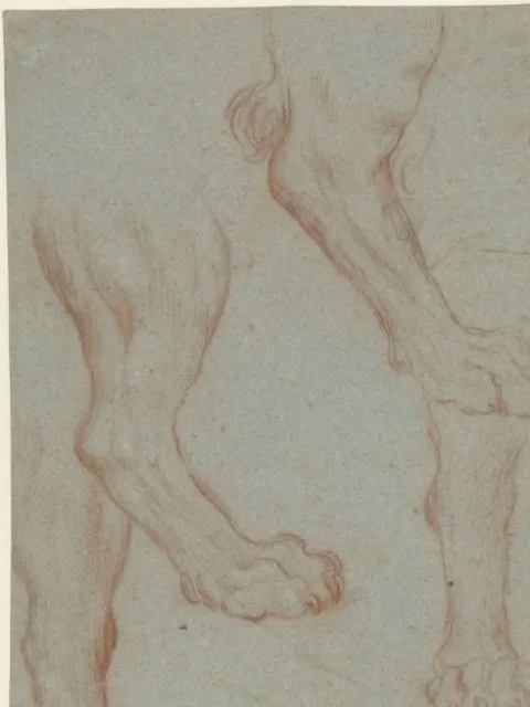 Leandro Bassano, Studieblad met twee leeuwenpoten