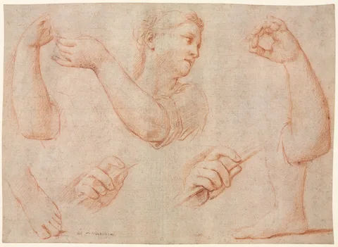 Marcantonio Franceschini, Study of a Young Woman Playing a Tambourine, and Studies of an Arm, Hands, and Feet (Studies for  "Miriam Leading the Chorus of Women Who Give Thanks for the Routing of Pharoah"