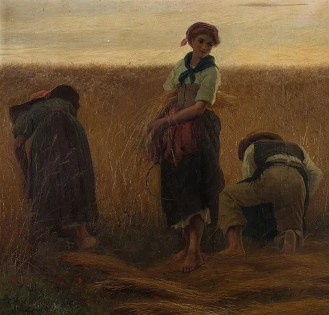 Carlo Ademollo, The hay harvest