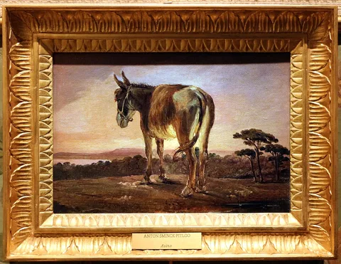 Antonie Sminck Pitloo, Donkey