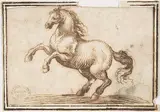 Francesco Allegrini, Horse