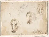 Francesco Allegrini, Horses' Heads