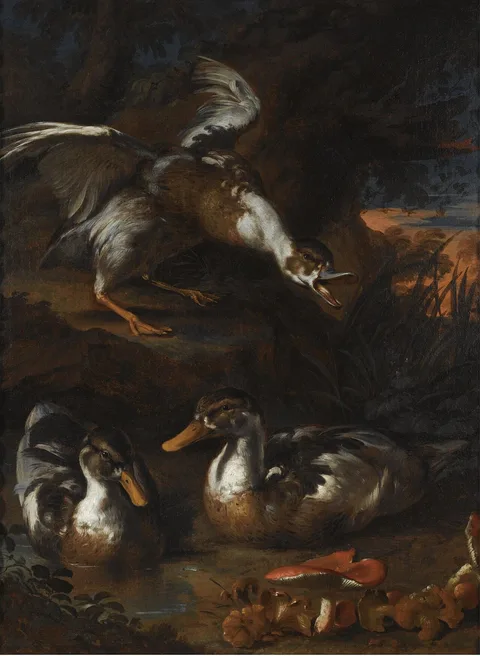 Angelo Maria Rossi, Three ducks in a wooded landscape, wild mushrooms in the foreground