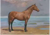 Edoardo Gioja, Horse on the beach