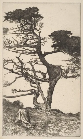 Ernest Haskell, Lone Tree