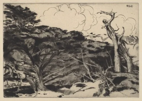 Ernest Haskell, Dragons