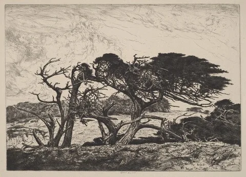 Ernest Haskell, El Toro