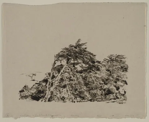 Ernest Haskell, Windbent Cypress