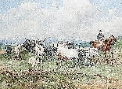 Giuseppe Gabani, Cattle and drover
