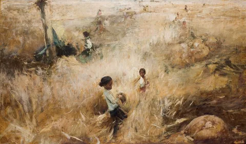 Romualdo Locatelli, Cutting the rice