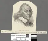 John Hall, William Harvey