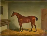 James Loder, Mare, Castledillon Stables