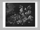 Giuseppe Ruoppolo, shillife - fruit and flowers