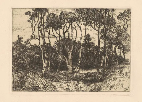Mary Nimmo Moran, Solitude
