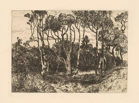 Mary Nimmo Moran, Solitude
