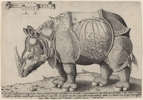 Enea Vico, Rhinoceros