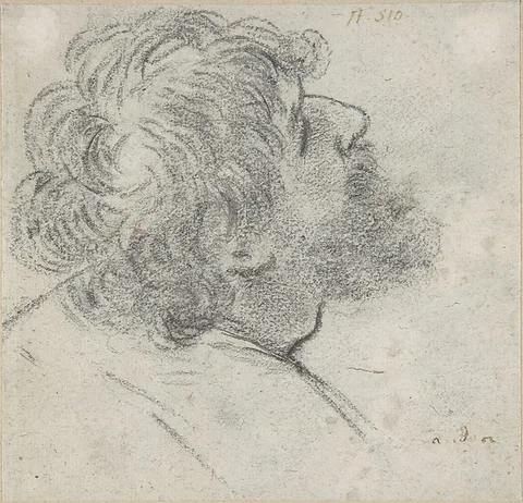Giacomo Cavedone, Head of a Bearded Man Looking to Upper Right (recto); Head of an Old Man and a Drapery Study (verso)