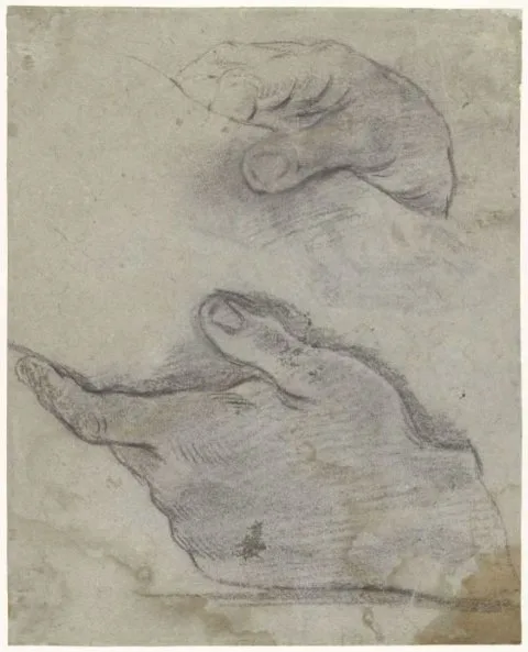 Giacomo Cavedone, Twee handen, die een been (?) vasthouden