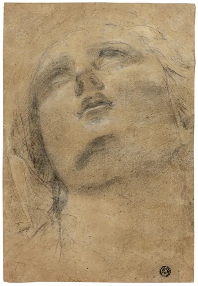 Giacomo Cavedone, Head of the Virgin Looking Upwards
