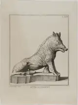 Giovanni Domenico Campiglia, The Caledonian Boar