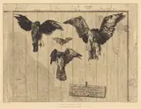 Eugène Delâtre, Le Haut d'un battant de porte (Birds Nailed to a Barn Door)