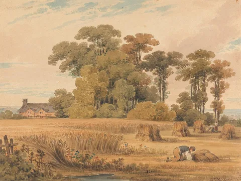 Paul Sandby Munn, A Cornfield