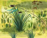 Charles Campbell, Teasles