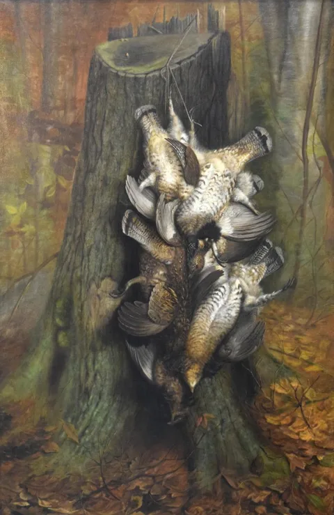 Ben Austrian, Dawn, October 1--Grouse on Stump
