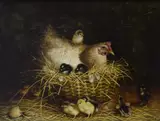 Ben Austrian, The Love Nest