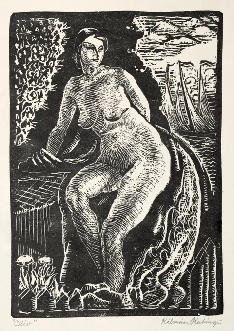 Kálmán Kubinyi, Clio