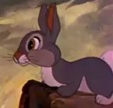 Marc Davis, Thumper
