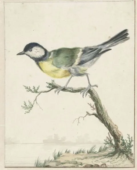 Jan Weenix, Koolmees