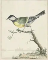 Jan Weenix, Koolmees