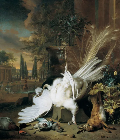 Jan Weenix, The white Peacock