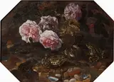 Paolo Porpora, Frogs, Wild Roses, Shells and Butterflies