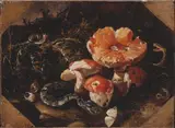 Paolo Porpora, Serpents, Fly Agarics and Thistles